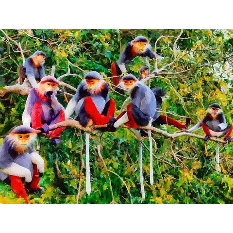 Monkies I White Modern Wood Framed Art Print by Medeiros, Celito