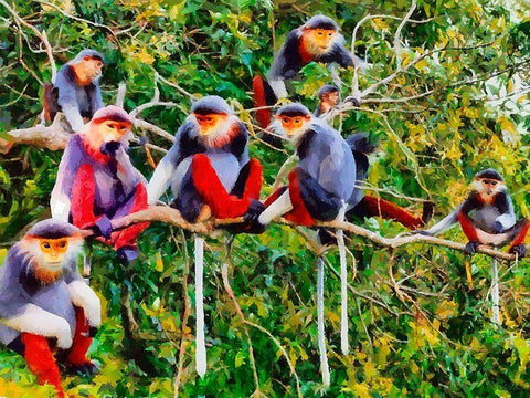 Monkies I White Modern Wood Framed Art Print with Double Matting by Medeiros, Celito