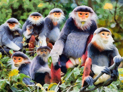 Monkies II Black Ornate Wood Framed Art Print with Double Matting by Medeiros, Celito