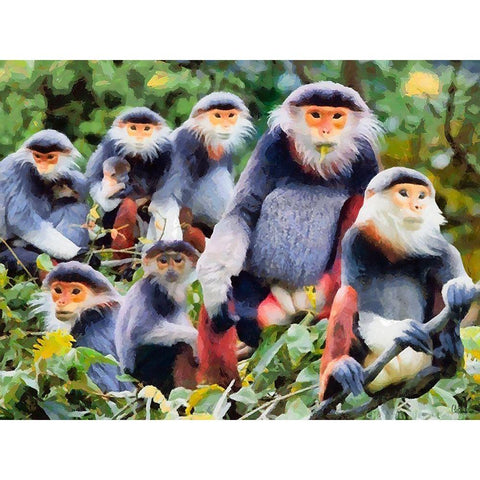 Monkies II Black Modern Wood Framed Art Print with Double Matting by Medeiros, Celito