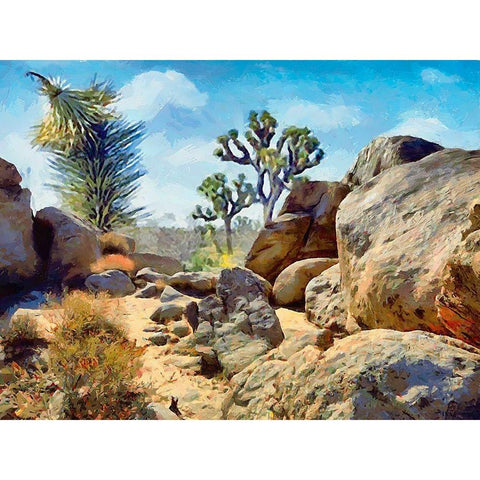 Beauty of Rocks XIX Black Modern Wood Framed Art Print by Medeiros, Celito