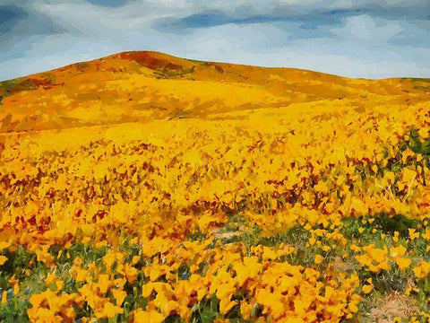 Yellow Meadow IV Black Ornate Wood Framed Art Print with Double Matting by Medeiros, Celito