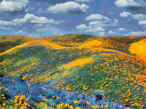 Yellow Meadow VII Black Ornate Wood Framed Art Print with Double Matting by Medeiros, Celito
