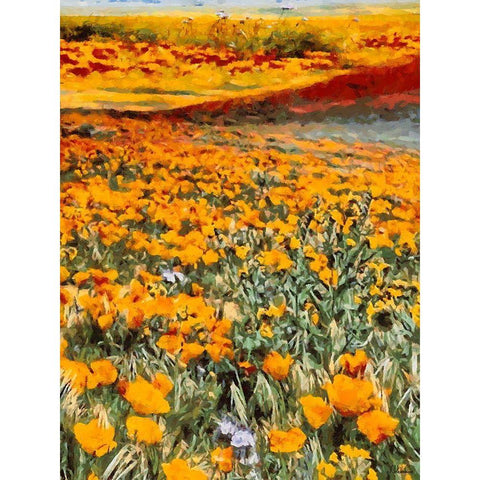 Yellow Meadow VIII Black Modern Wood Framed Art Print with Double Matting by Medeiros, Celito