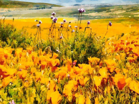 Yellow Meadow IX Black Ornate Wood Framed Art Print with Double Matting by Medeiros, Celito