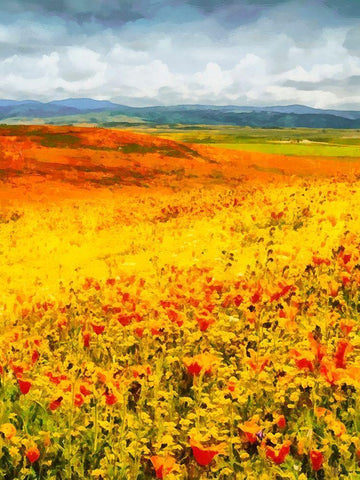 Yellow Meadow X White Modern Wood Framed Art Print with Double Matting by Medeiros, Celito