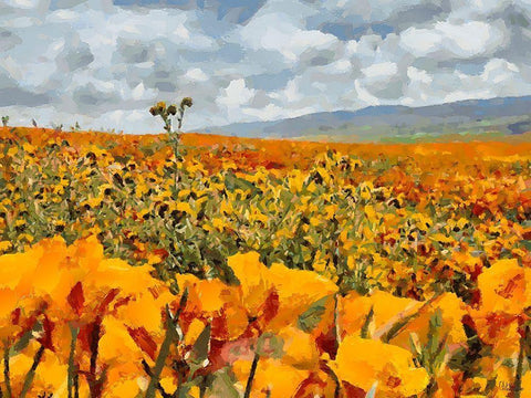 Yellow Meadow XI Black Ornate Wood Framed Art Print with Double Matting by Medeiros, Celito