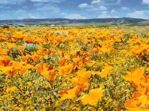Yellow Meadow XIV White Modern Wood Framed Art Print with Double Matting by Medeiros, Celito