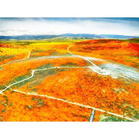 Yellow Meadow XV Black Modern Wood Framed Art Print by Medeiros, Celito