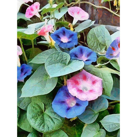 Pink and Blue Flowers Gold Ornate Wood Framed Art Print with Double Matting by Medeiros, Celito