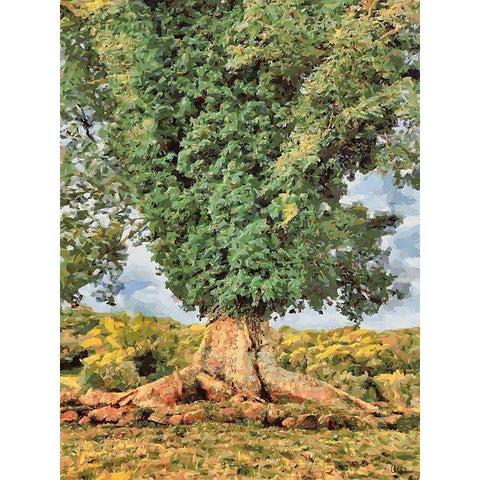 A very big Tree White Modern Wood Framed Art Print by Medeiros, Celito