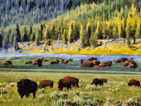 Great Yellowstone NP 17 Black Ornate Wood Framed Art Print with Double Matting by Medeiros, Celito