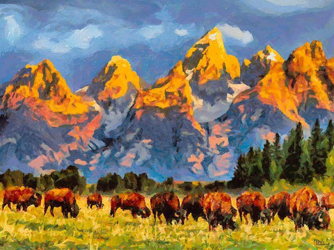 Grand Teton NP 1 White Modern Wood Framed Art Print with Double Matting by Medeiros, Celito