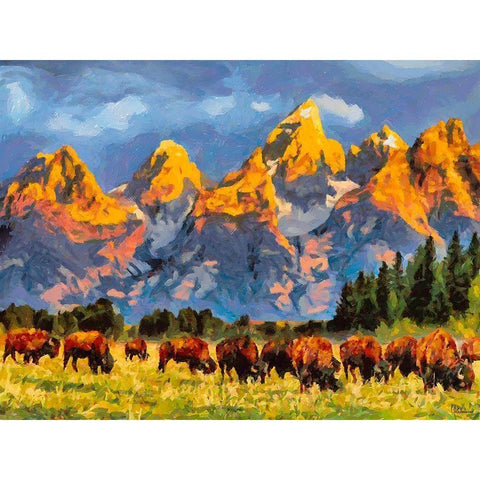 Grand Teton NP 1 Black Modern Wood Framed Art Print by Medeiros, Celito