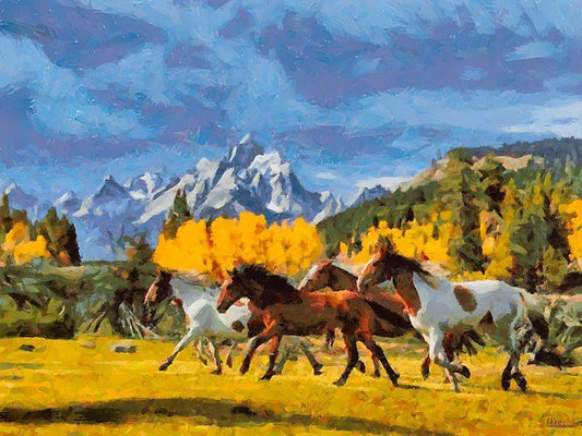 Image Only