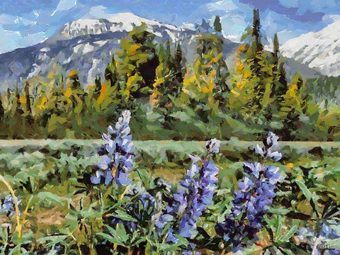 Great National Parks XV Black Ornate Wood Framed Art Print with Double Matting by Medeiros, Celito