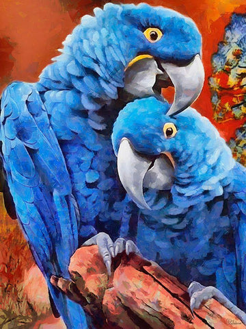 Two Blue Parrots Black Ornate Wood Framed Art Print with Double Matting by Medeiros, Celito