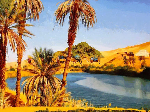 Arabic Landscape II Black Ornate Wood Framed Art Print with Double Matting by Medeiros, Celito