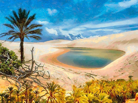 Arabic Landscape III Black Ornate Wood Framed Art Print with Double Matting by Medeiros, Celito