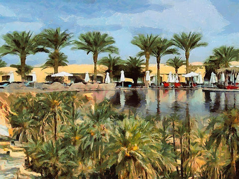 Arabic Landscape IV Black Ornate Wood Framed Art Print with Double Matting by Medeiros, Celito