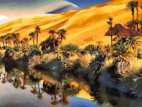 Arabic Landscape VI Black Ornate Wood Framed Art Print with Double Matting by Medeiros, Celito