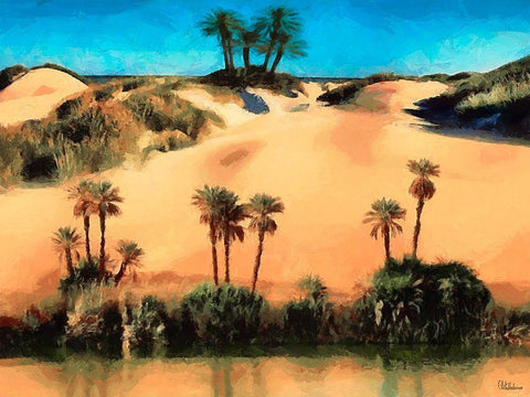 Arabic Landscape VII Black Ornate Wood Framed Art Print with Double Matting by Medeiros, Celito