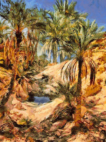 Arabic Landscape X Black Ornate Wood Framed Art Print with Double Matting by Medeiros, Celito