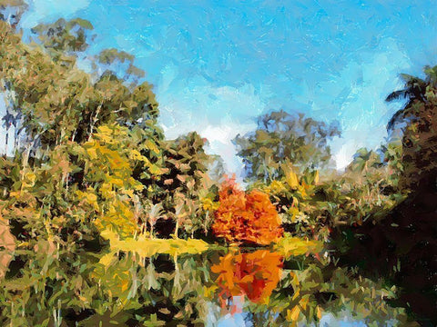 Lake in Tropical Garden X White Modern Wood Framed Art Print with Double Matting by Medeiros, Celito