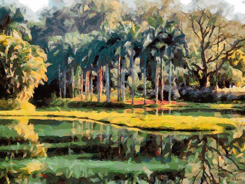 Lake in Tropical Garden XII White Modern Wood Framed Art Print with Double Matting by Medeiros, Celito