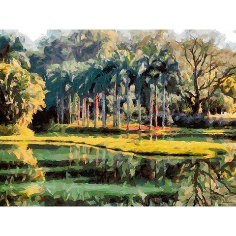 Lake in Tropical Garden XII Black Modern Wood Framed Art Print with Double Matting by Medeiros, Celito