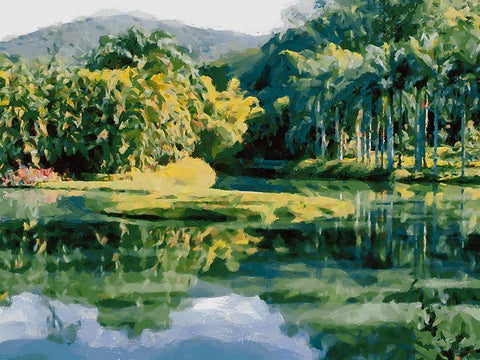 Lake in Tropical Garden XIII Black Ornate Wood Framed Art Print with Double Matting by Medeiros, Celito