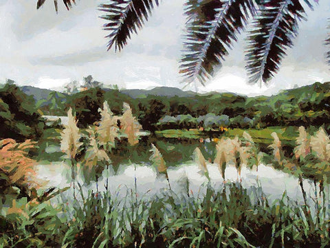 Lake in Tropical Garden XIV Black Ornate Wood Framed Art Print with Double Matting by Medeiros, Celito