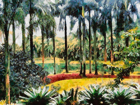 Lake in Tropical Garden XV Black Ornate Wood Framed Art Print with Double Matting by Medeiros, Celito