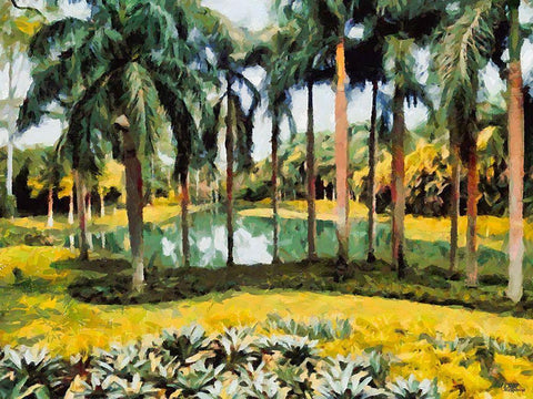 Lake in Tropical Garden XVI White Modern Wood Framed Art Print with Double Matting by Medeiros, Celito