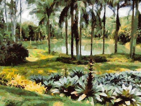 Lake in Tropical Garden XVII White Modern Wood Framed Art Print with Double Matting by Medeiros, Celito