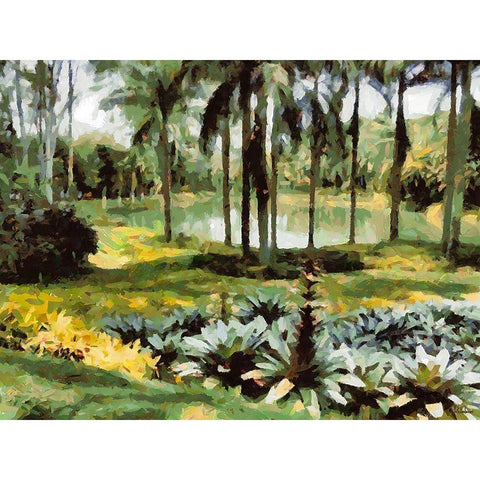 Lake in Tropical Garden XVII Black Modern Wood Framed Art Print by Medeiros, Celito