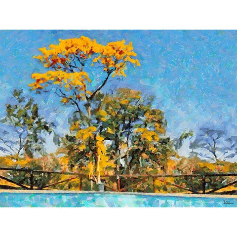 Yellow Tree by Swiiming Pool Gold Ornate Wood Framed Art Print with Double Matting by Medeiros, Celito