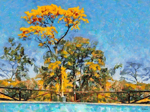 Yellow Tree by Swiiming Pool White Modern Wood Framed Art Print with Double Matting by Medeiros, Celito