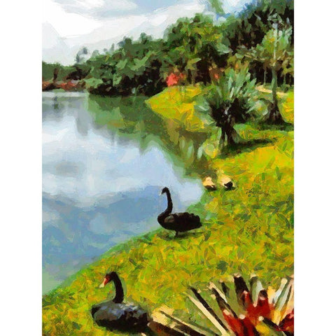 Black Swans by the Lake Black Modern Wood Framed Art Print with Double Matting by Medeiros, Celito