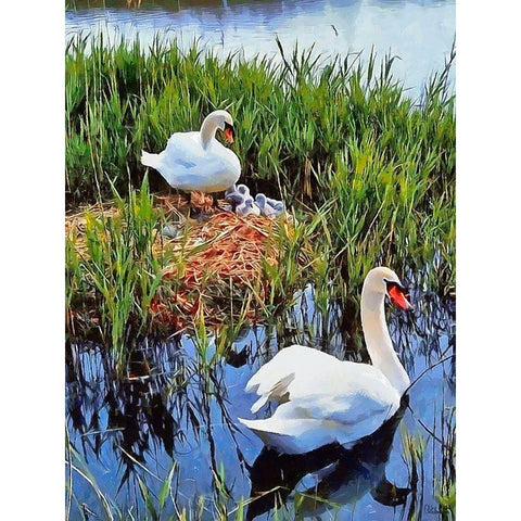 Swan Family White Modern Wood Framed Art Print by Medeiros, Celito