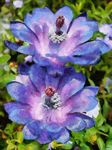 Two purple Flowers White Modern Wood Framed Art Print with Double Matting by Medeiros, Celito