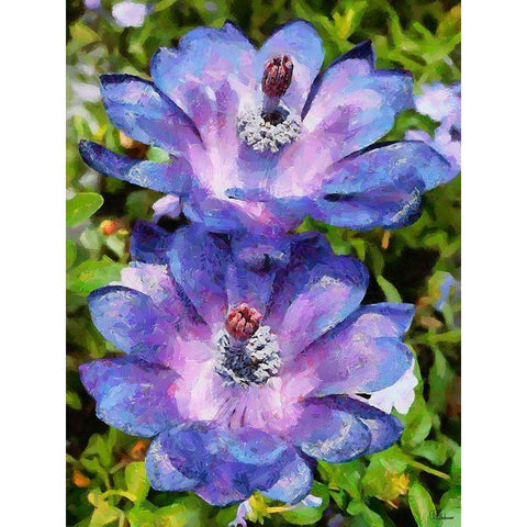 Two purple Flowers Black Modern Wood Framed Art Print by Medeiros, Celito