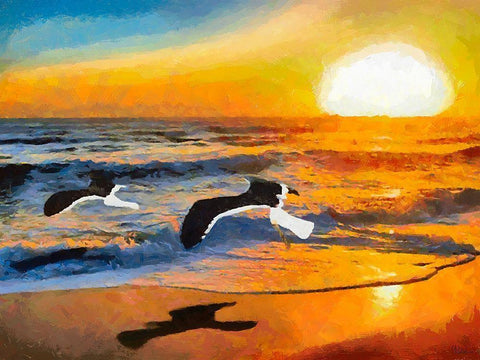 Big Birds by Sunset Black Ornate Wood Framed Art Print with Double Matting by Medeiros, Celito