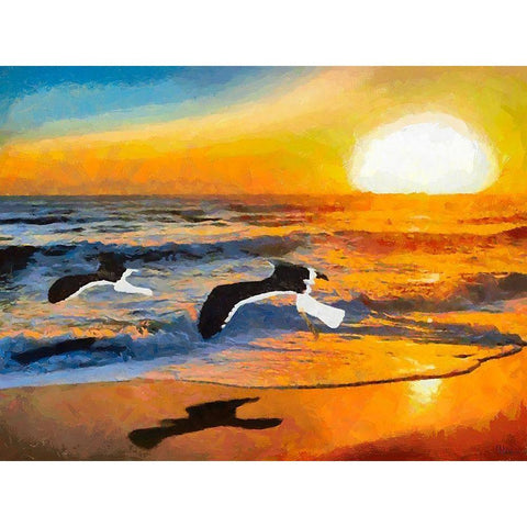 Big Birds by Sunset Black Modern Wood Framed Art Print with Double Matting by Medeiros, Celito