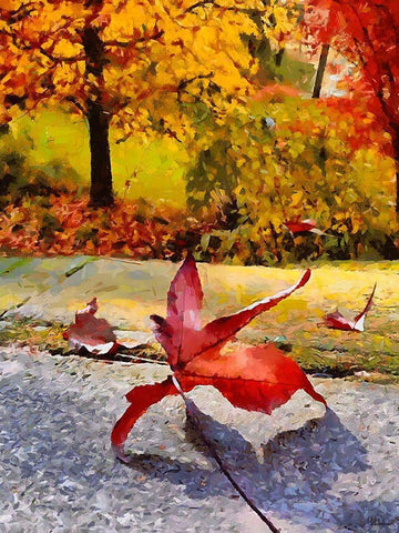Red Leaf on the Street Black Ornate Wood Framed Art Print with Double Matting by Medeiros, Celito