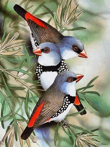 Three Birds Black Ornate Wood Framed Art Print with Double Matting by Medeiros, Celito