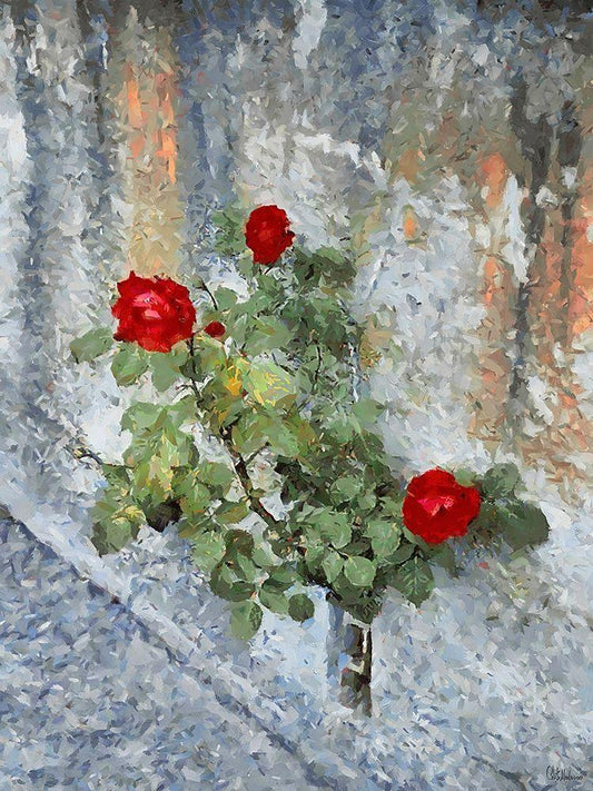 Image Only