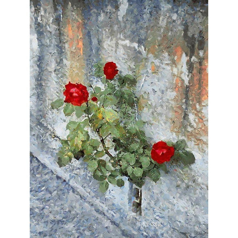 Three Red Roses White Modern Wood Framed Art Print by Medeiros, Celito