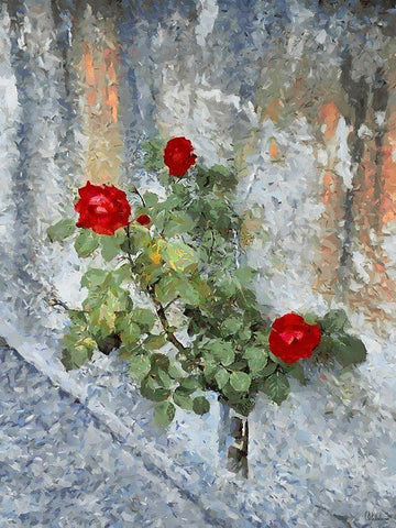 Three Red Roses White Modern Wood Framed Art Print with Double Matting by Medeiros, Celito