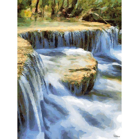 Small Watterfall Gold Ornate Wood Framed Art Print with Double Matting by Medeiros, Celito